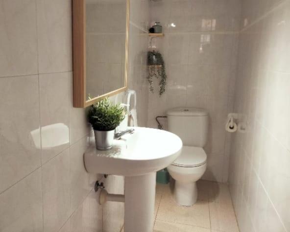 فندق La Casita أرونا المظهر الخارجي الصورة
