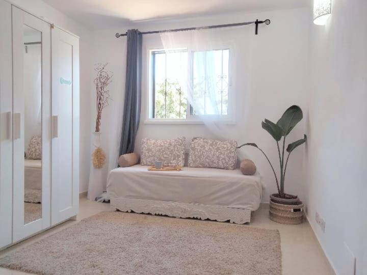 فندق La Casita أرونا المظهر الخارجي الصورة